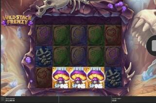 Screenshot Wild Stack Frenzy 1 