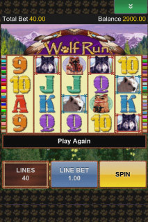 Screenshot Wolf Run 1 